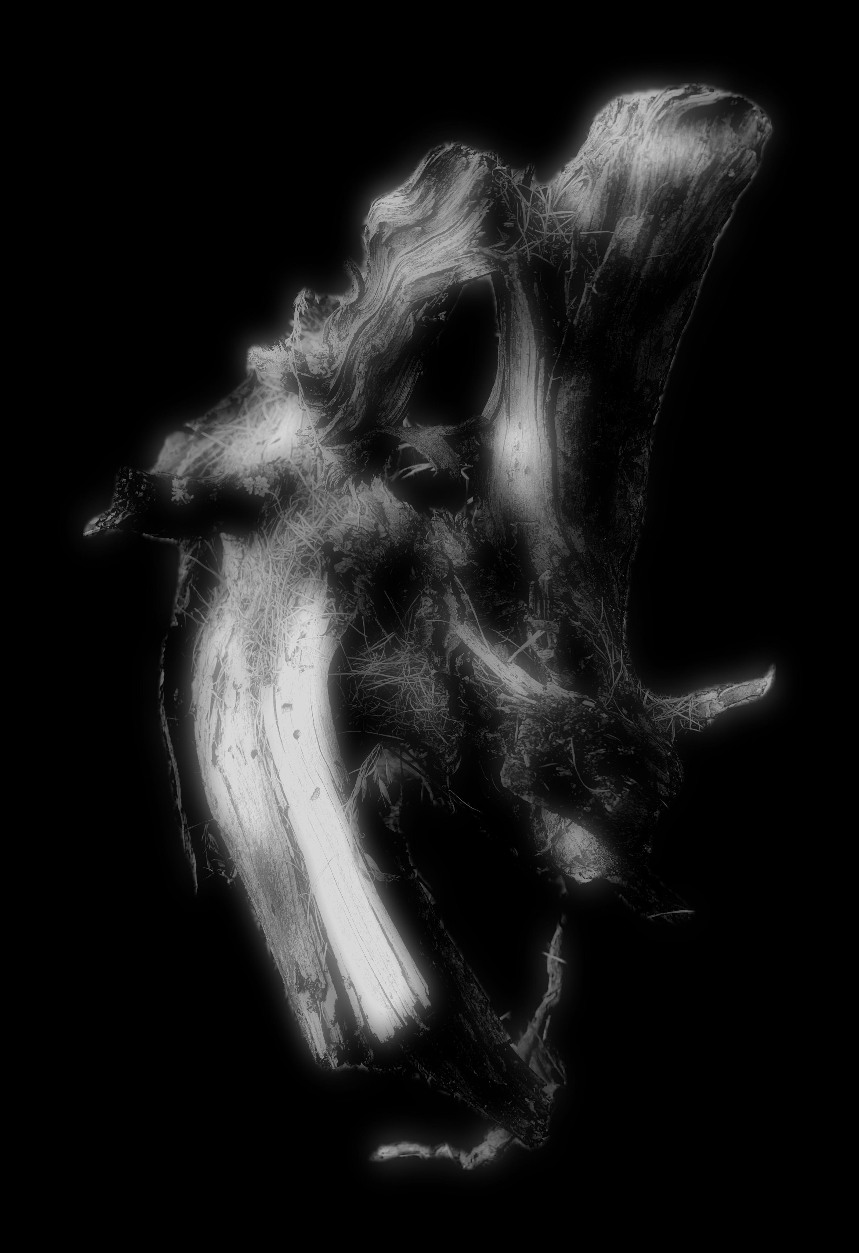 Unified Fields - Drawings - Giants Series - Giants 2